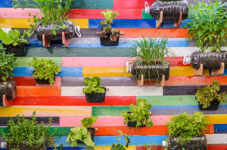 10 Vertical Gardening Limits You Should Know