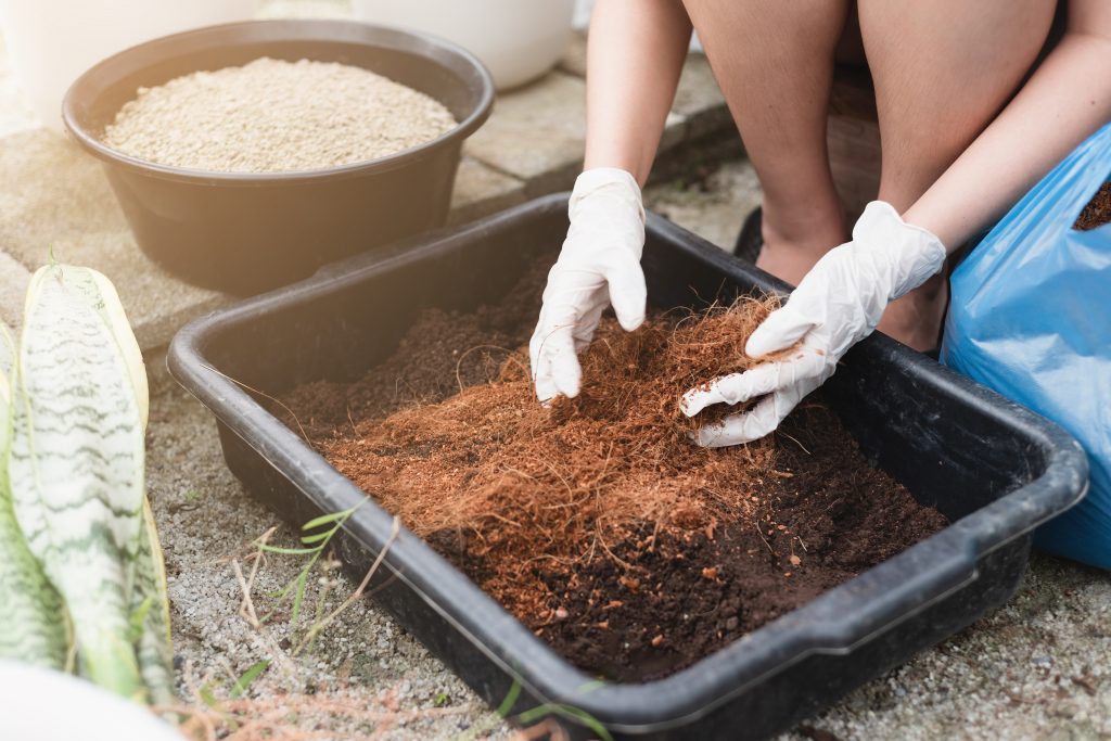 Cultivation concept, Asian woman mixes coconut coir and fertilizer into the soil, preparing nutrients for plants, in a black tray.