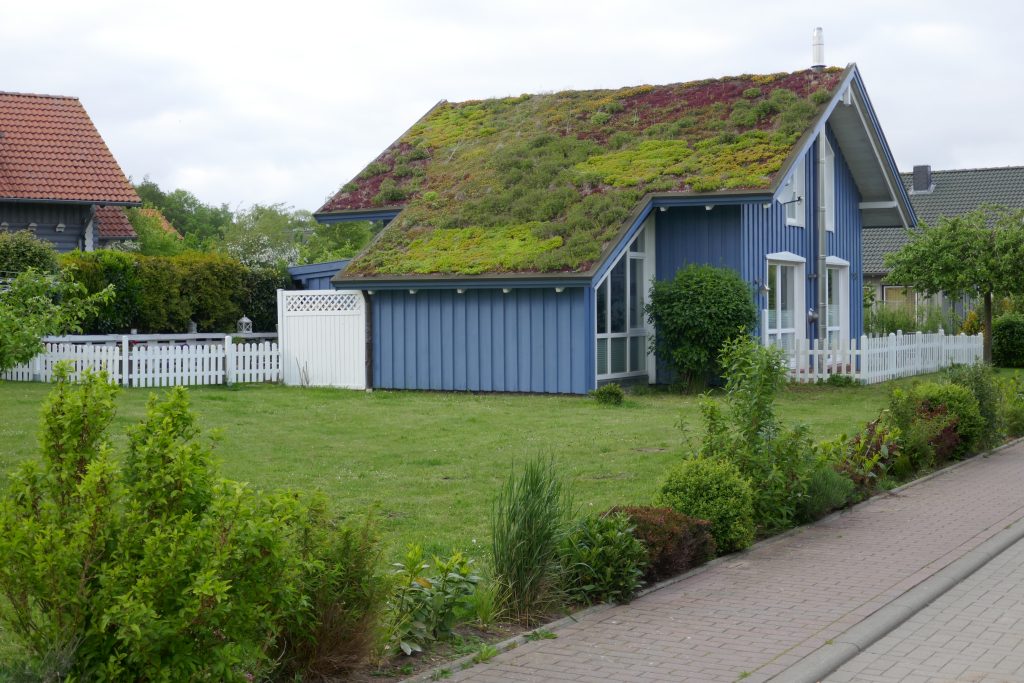 Sustainable home features, green roof