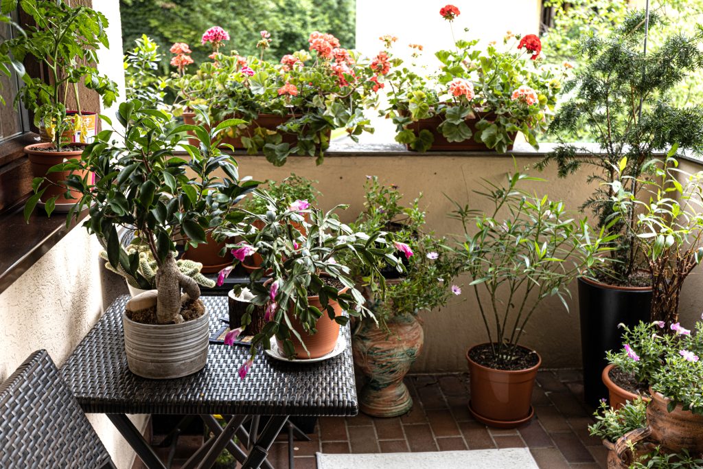 Well-kept balcony, lined with many pots of plants