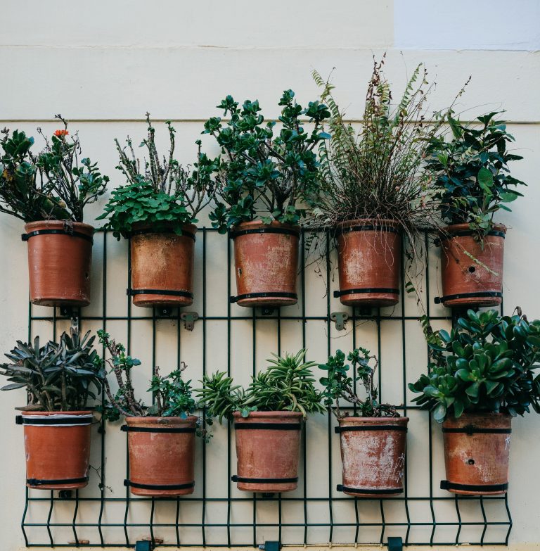 5 Vertical Gardens Cons You Should Know