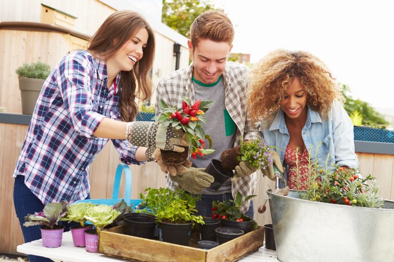 9 Essential Tips for Effective Community Garden Management