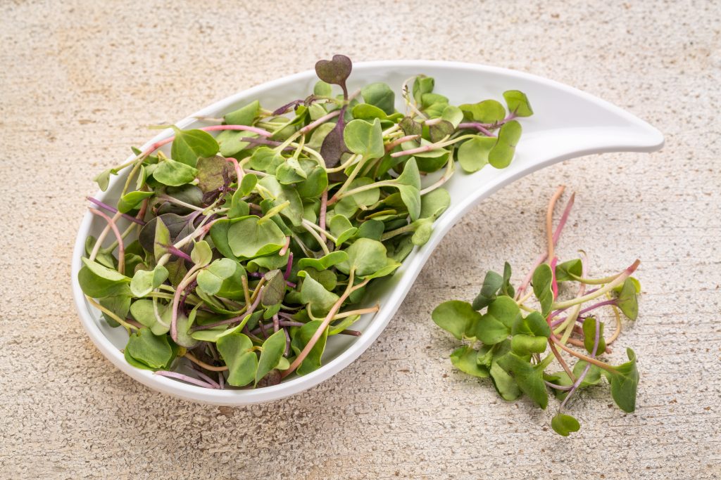 organic micro greens (kale, mustard, pea, herbs) on a ceramic teardrop shaped bowl against grunge bran wood