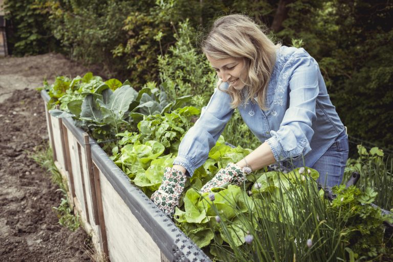 10 Urban Herb Gardening Secrets for Small Spaces