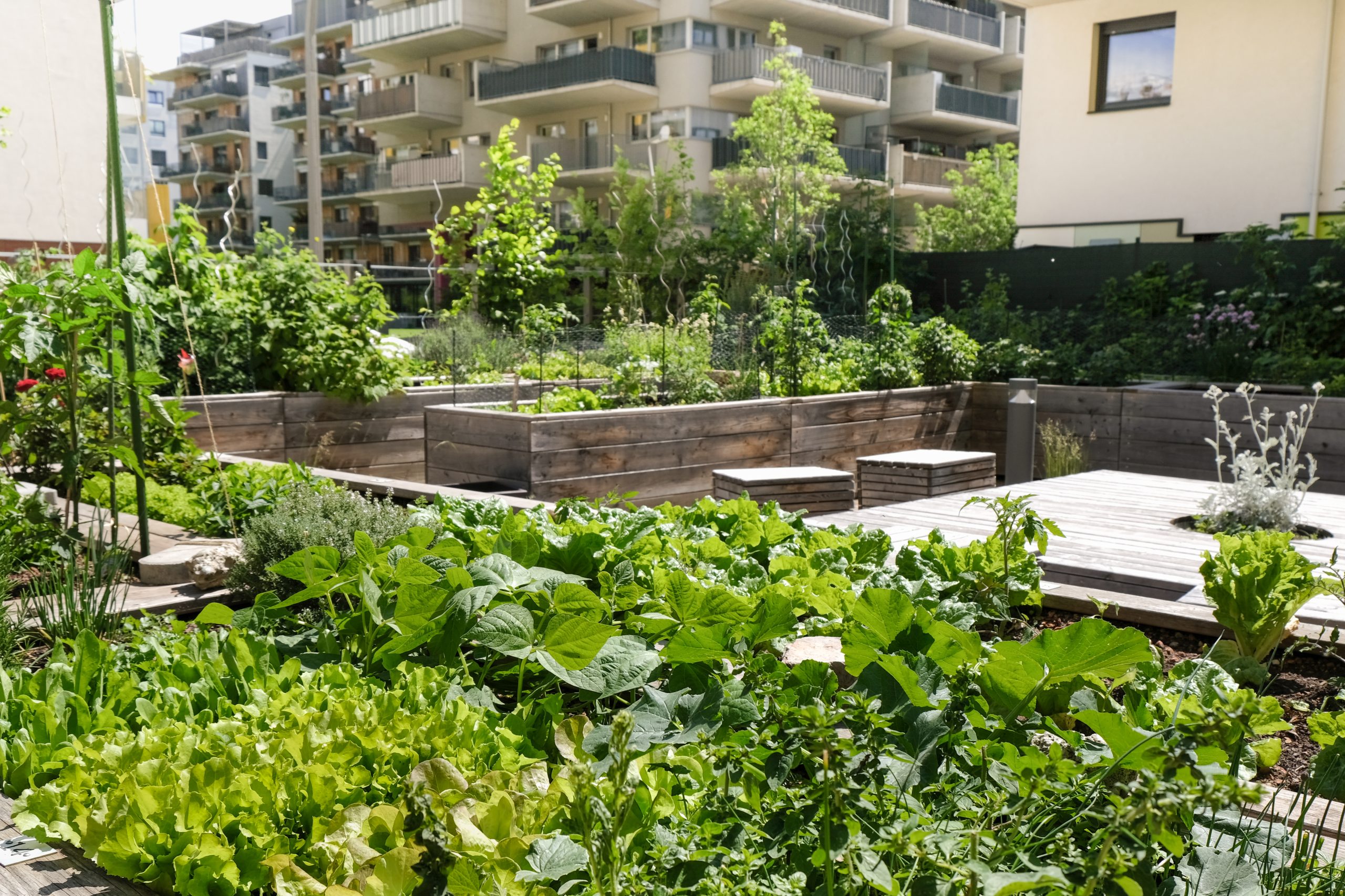 what are two ways an urban garden can improve a local urban community