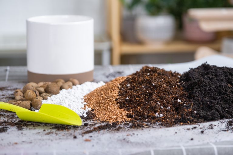 5 Top Soils for Thriving Organic Microgreens