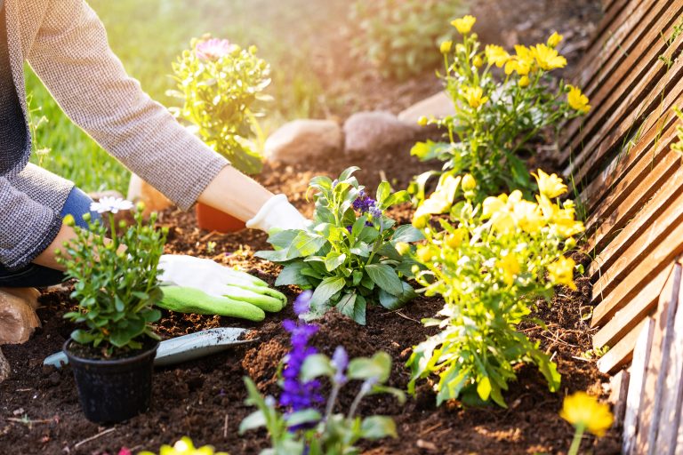 5 Top Gardening Methods for Maximum Yield